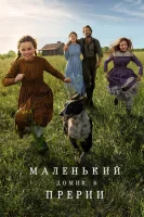 Маленький домик в прериях