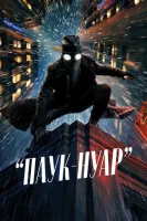 Паук-Нуар
